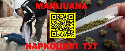 гидропоника Гусев