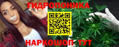 гидропоника Гусев