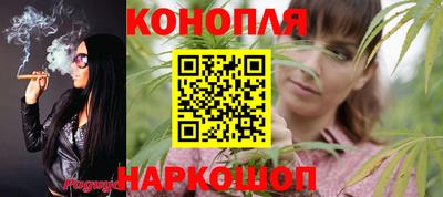 гидропоника Гусев