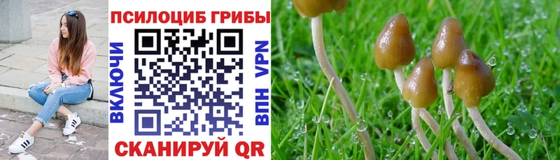 Галлюциногенные грибы MAGIC MUSHROOMS  Кропоткин 