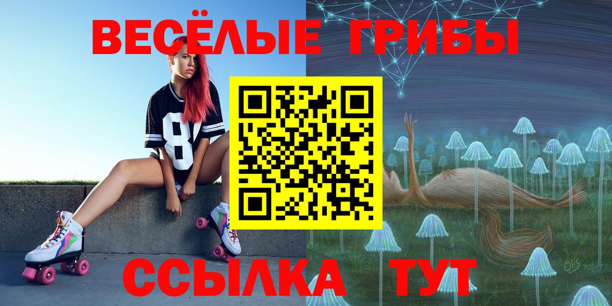 Псилоцибиновые грибы GOLDEN TEACHER Кропоткин